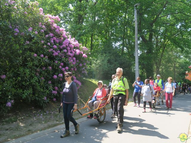 Randonnée joëlettes à Céroux