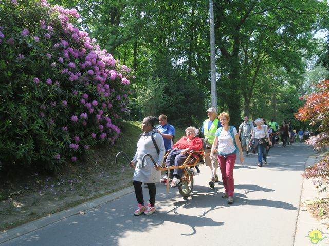 Randonnée joëlettes à Céroux