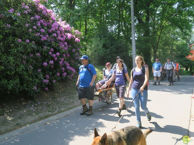 Randonnée joëlettes à Céroux