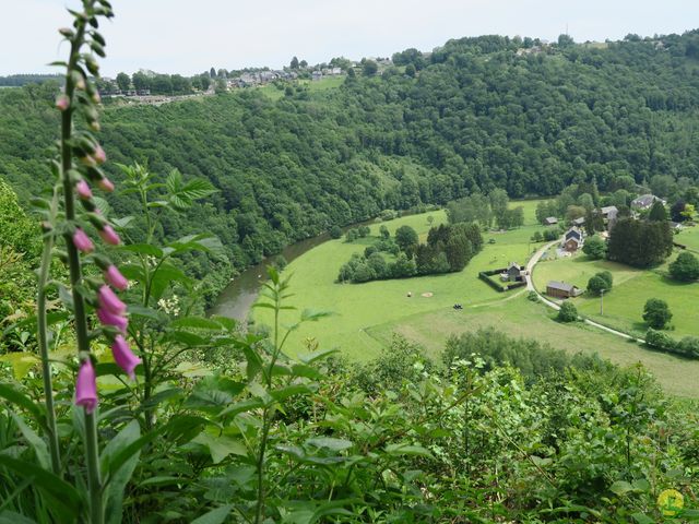 Randonnée joëlettes à Frahan