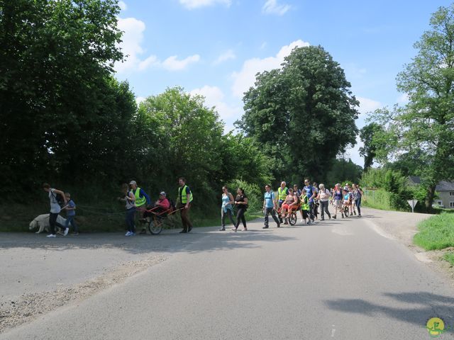 Randonnée joëlettes à Aubel