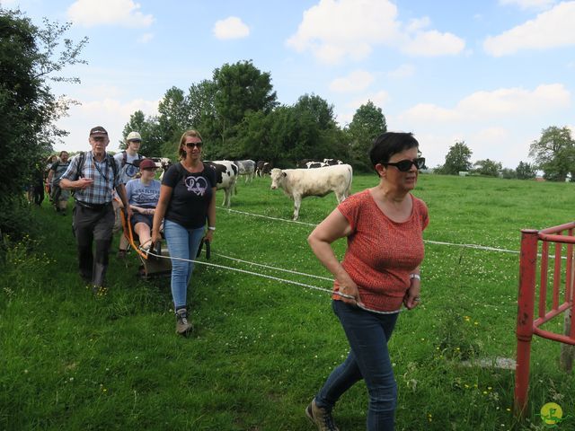 Randonnée joëlettes à Aubel