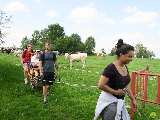 Randonnée joëlettes à Aubel