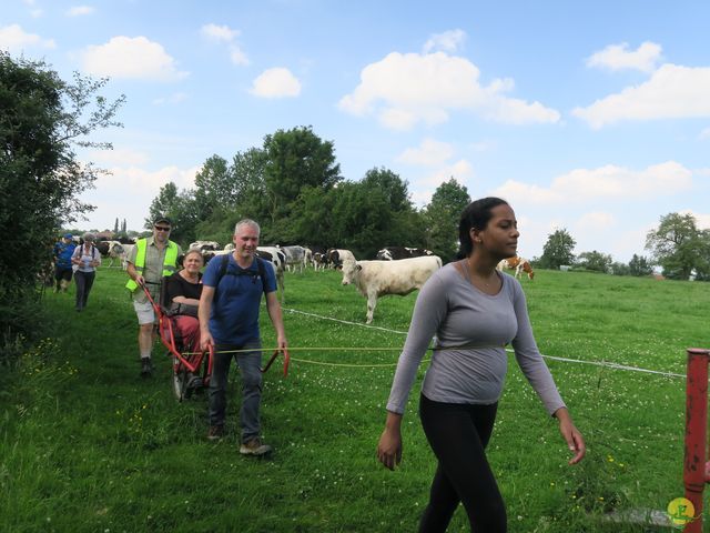 Randonnée joëlettes à Aubel