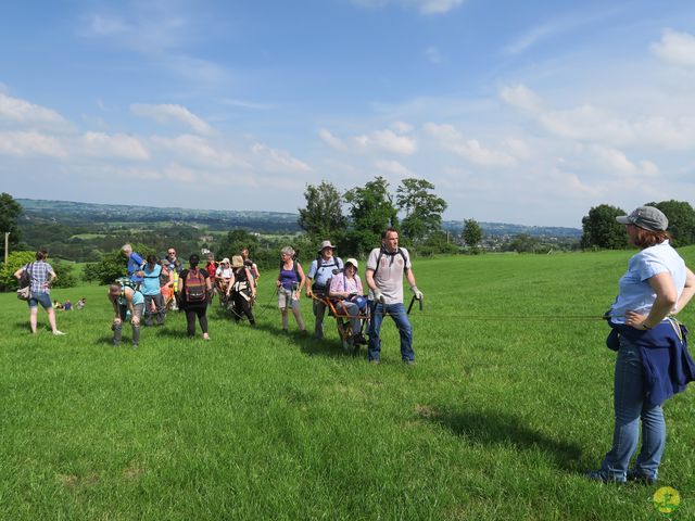 Randonnée joëlettes à Aubel