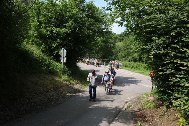 Randonnée joëlettes à Aubel