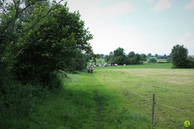 Randonnée joëlettes à Aubel