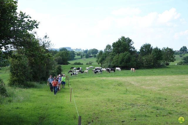 Randonnée joëlettes à Aubel