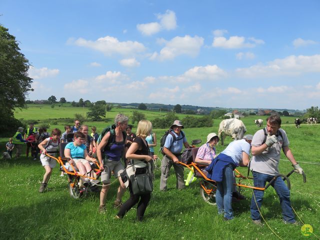 Randonnée joëlettes à Aubel