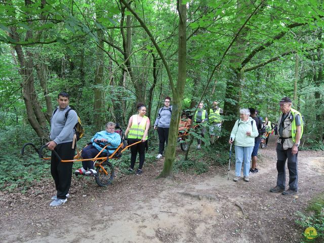 Randonnée joëlettes à Uccle