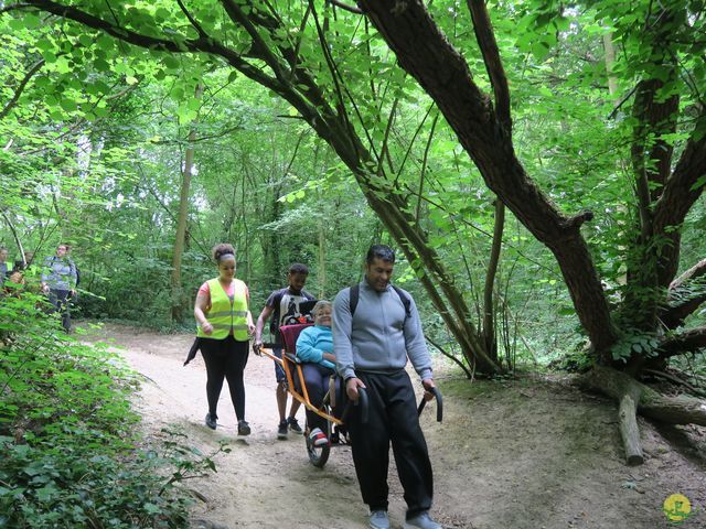 Randonnée joëlettes à Uccle