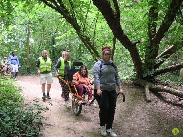 Randonnée joëlettes à Uccle