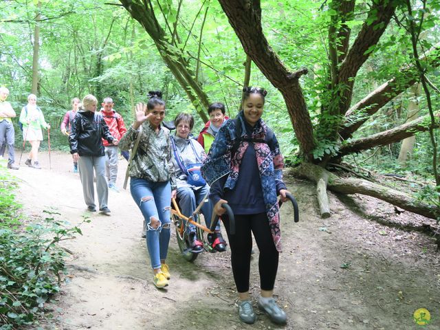 Randonnée joëlettes à Uccle