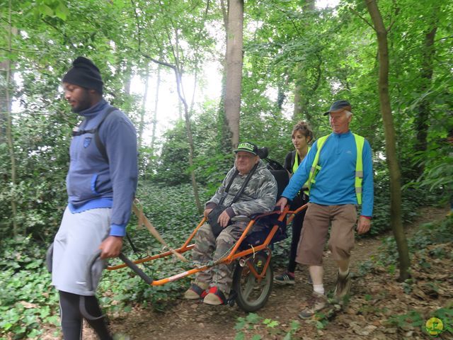 Randonnée joëlettes à Uccle