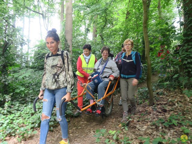 Randonnée joëlettes à Uccle