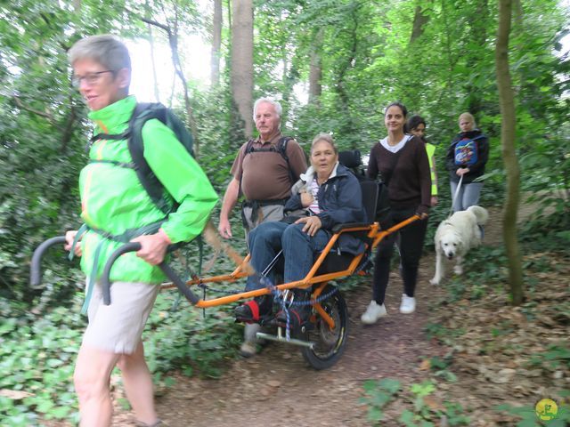 Randonnée joëlettes à Uccle