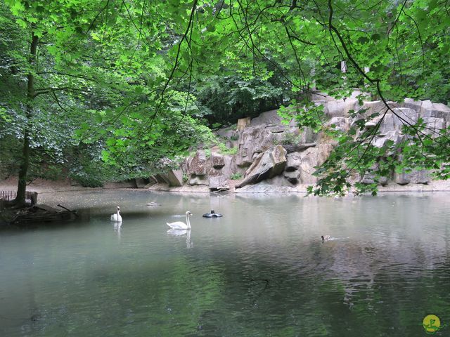 Randonnée joëlettes à Uccle