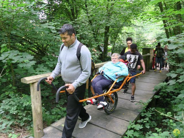 Randonnée joëlettes à Uccle