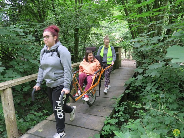 Randonnée joëlettes à Uccle