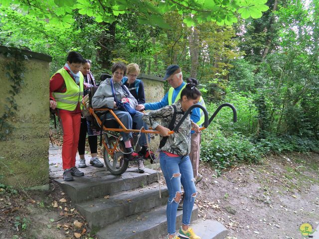 Randonnée joëlettes à Uccle