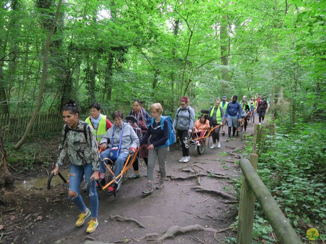 Randonnée joëlettes à Uccle