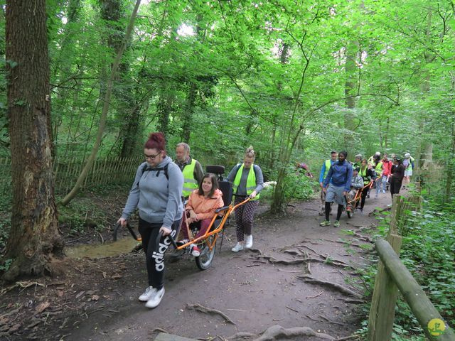 Randonnée joëlettes à Uccle