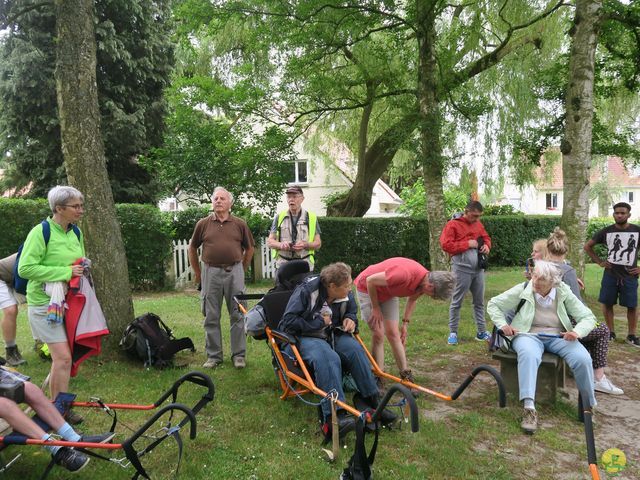 Randonnée joëlettes à Uccle