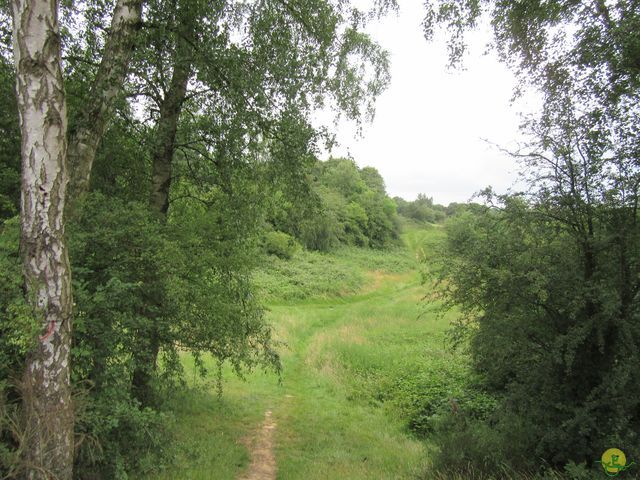 Randonnée joëlettes à Uccle