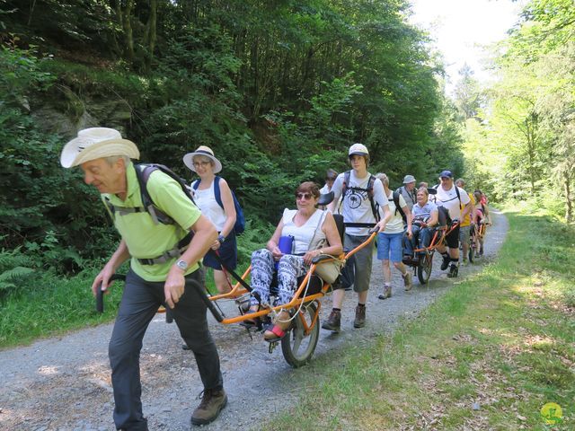 Randonnée joëlettes à Habay