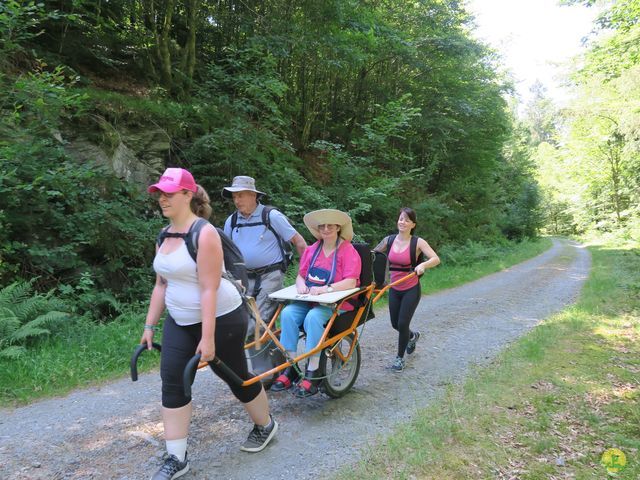 Randonnée joëlettes à Habay