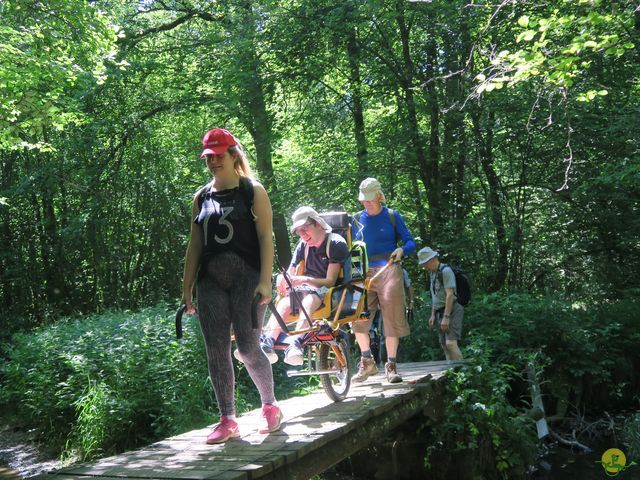 Randonnée joëlettes à Habay