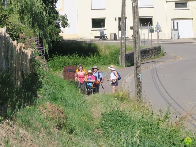 Randonnée joëlettes à Habay