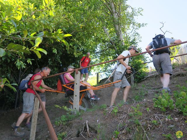 Randonnée joëlettes à Habay