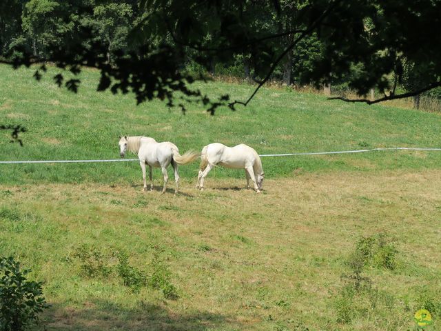 Randonnée joëlettes à Laguiole