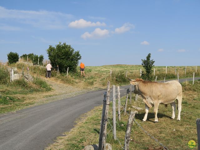 Randonnée joëlettes à Laguiole