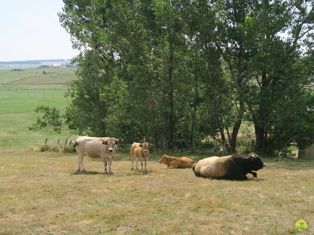 Randonnée joëlettes à Laguiole