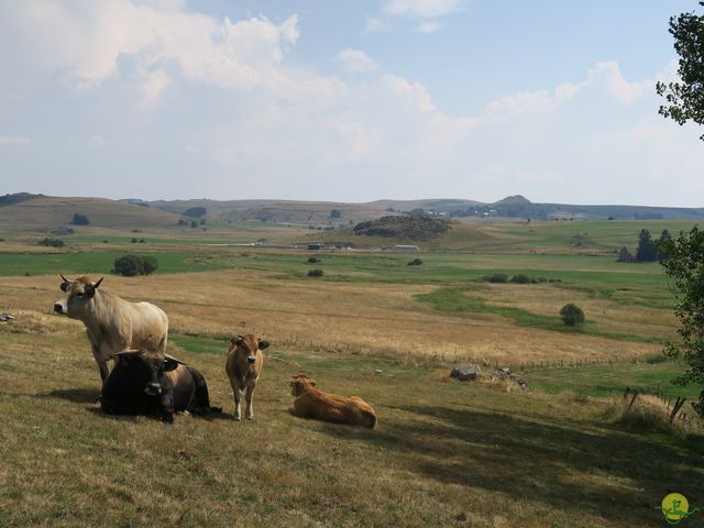 Randonnée joëlettes à Laguiole