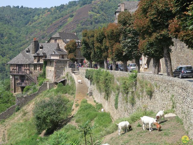 Randonnée joëlettes à Laguiole