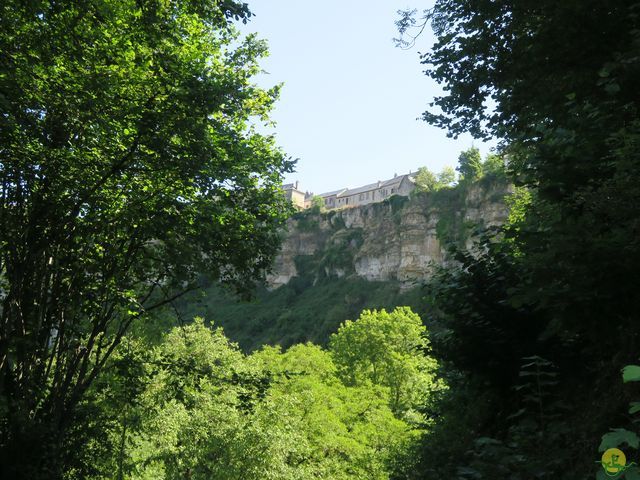 Randonnée joëlettes à Laguiole