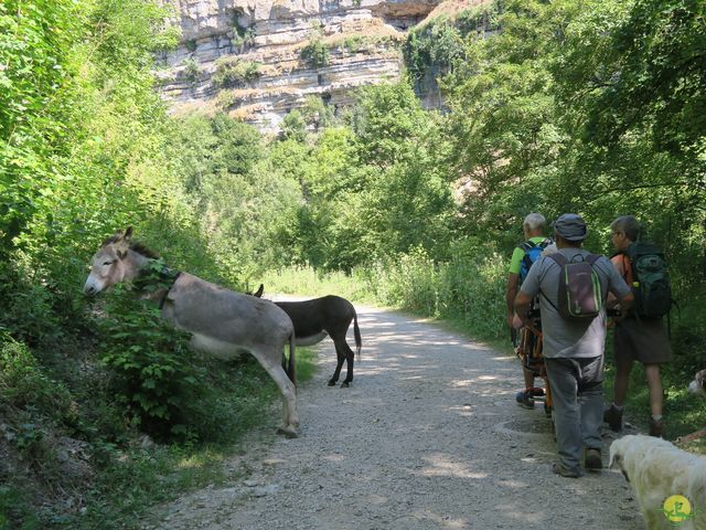 Randonnée joëlettes à Laguiole