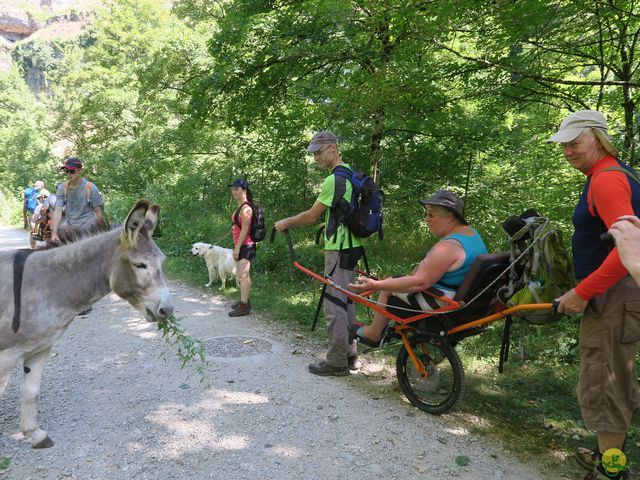 Randonnée joëlettes à Laguiole