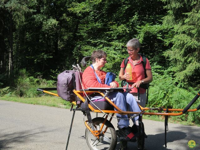 Randonnée joëlettes à St-Hubert