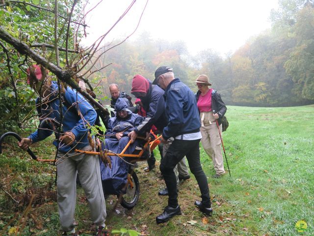 Randonnée joëlettes à Marneffe