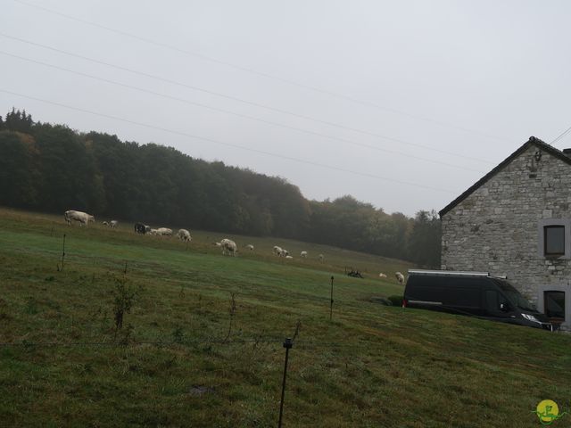 Randonnée joëlettes à Marneffe