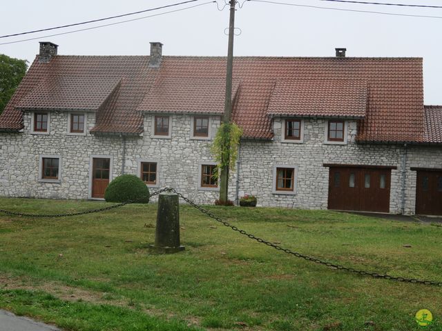 Randonnée joëlettes à Marneffe