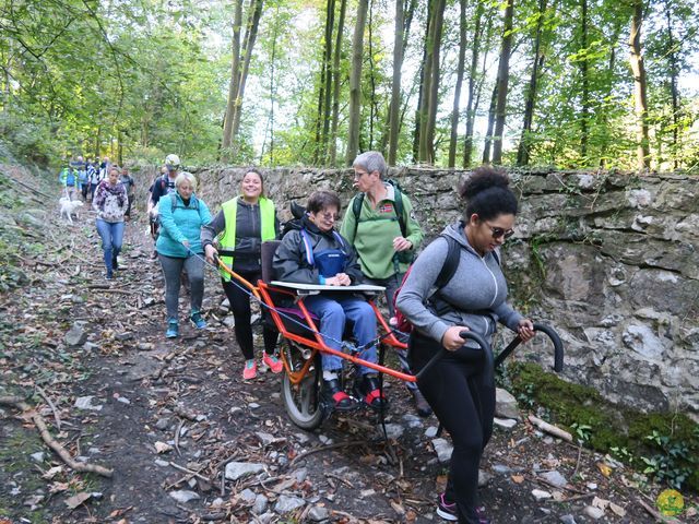 Randonnée joëlettes à Modave