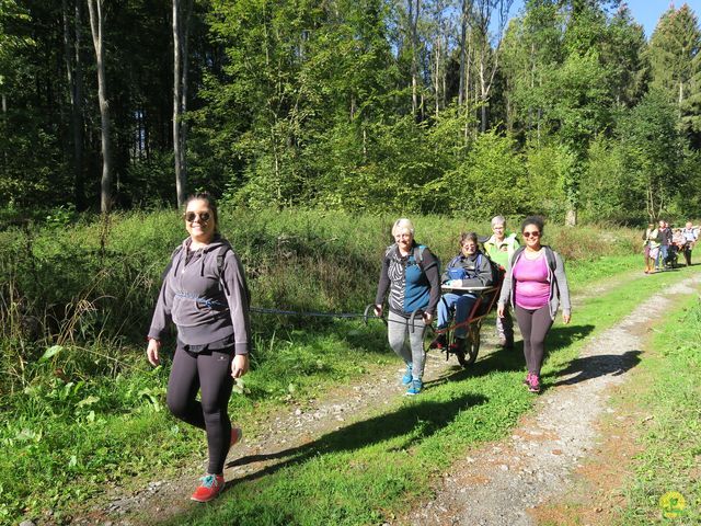 Randonnée joëlettes à Modave