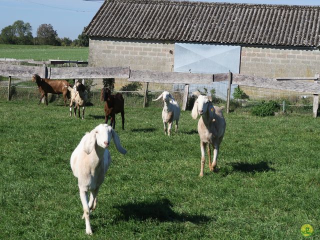 Randonnée joëlettes à Modave