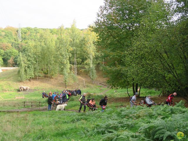 Randonnée joëlettes à Flémalle