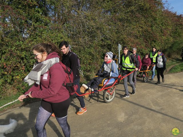 Randonnée joëlettes à Ramillies